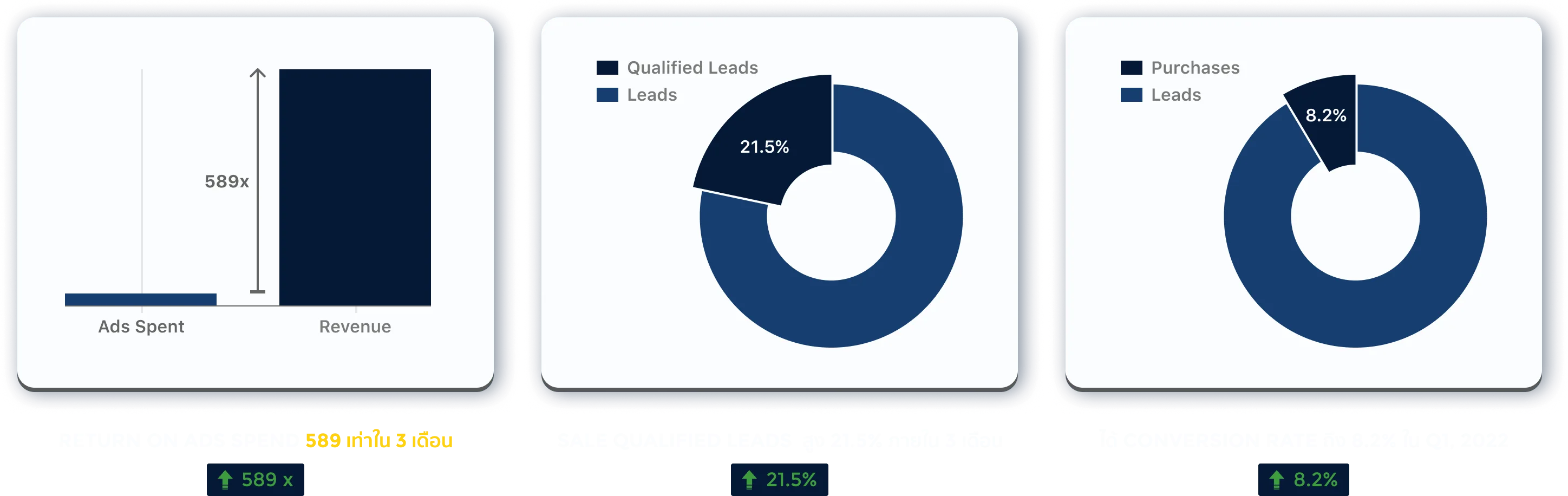 Cotactic Case Study Graph