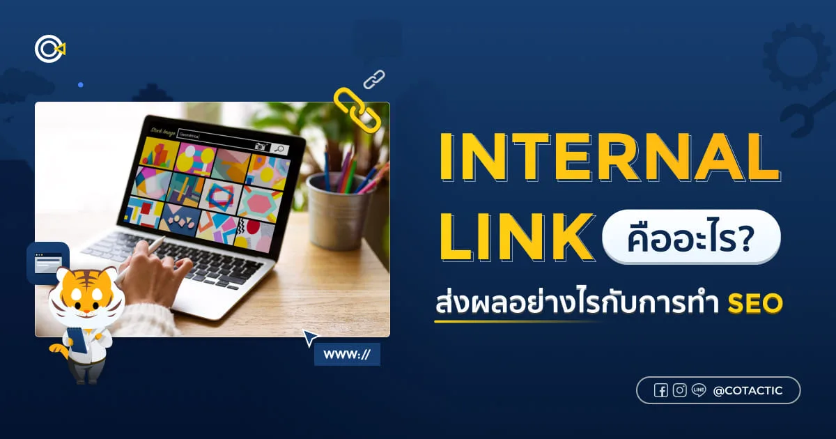 Internal link คืออะไร ส่งผลอย่างไรกับการทำ SEO บทความจาก Cotactic