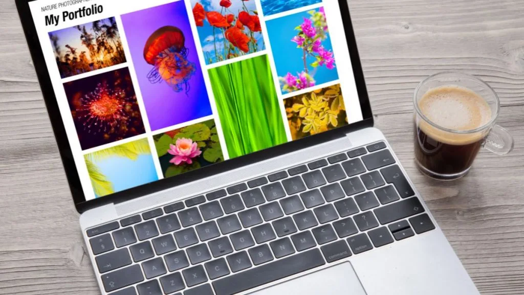 วิธีใช้ WordPress