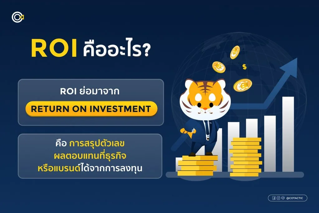 ROI คือ