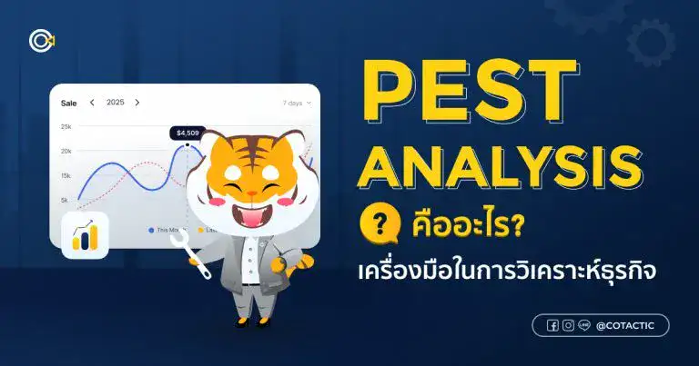 PEST Analysis