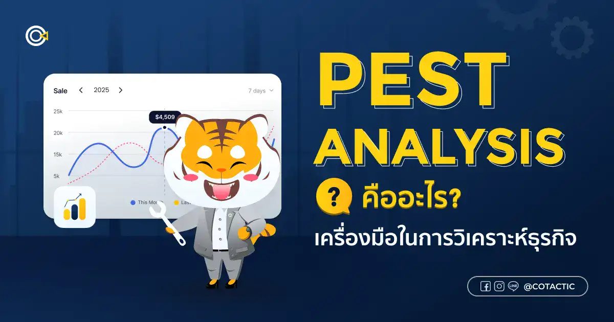 PEST Analysis