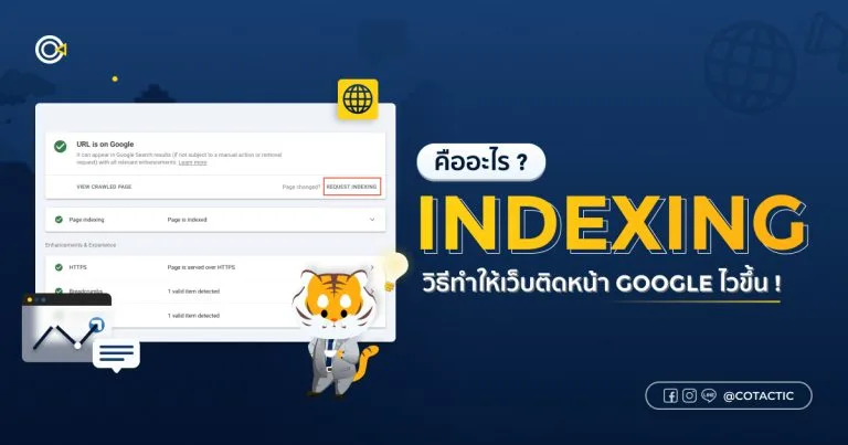Indexing คืออะไร? วิธีทำให้เว็บติดหน้า Google | Cotactic