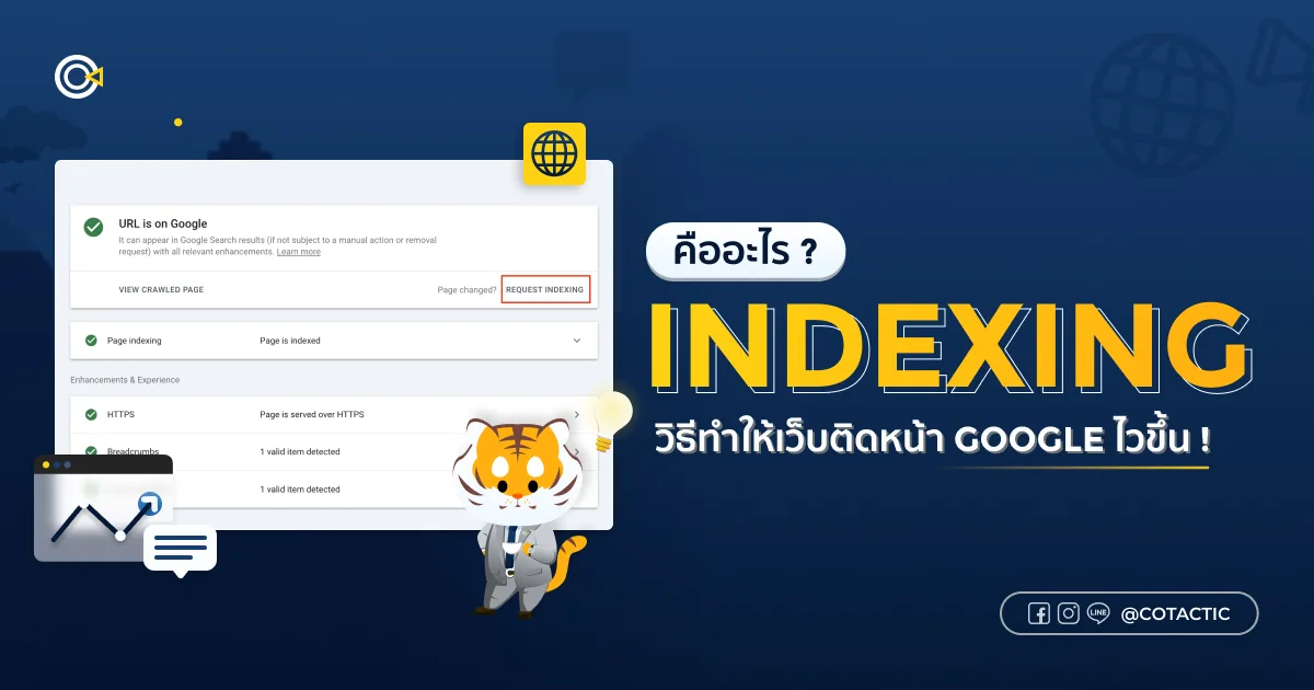 Indexing คืออะไร? วิธีทำให้เว็บติดหน้า Google | Cotactic