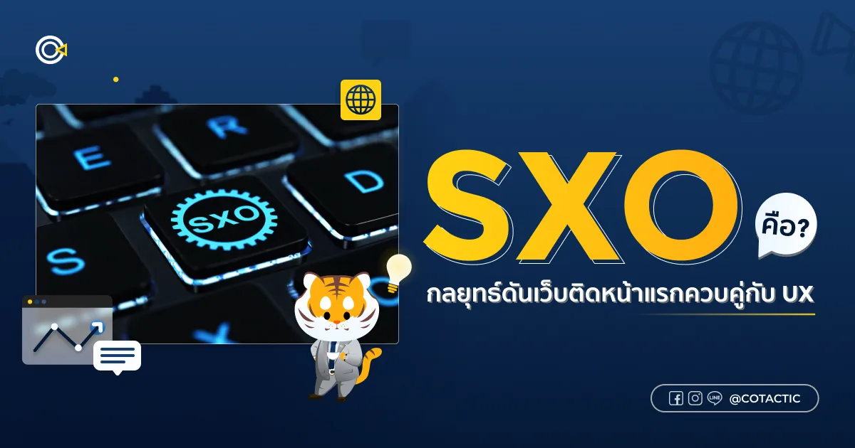 SXO คืออะไร ? กลยุทธ์ดันเว็บติดหน้าแรกควบคู่กับ UX | Cotactic